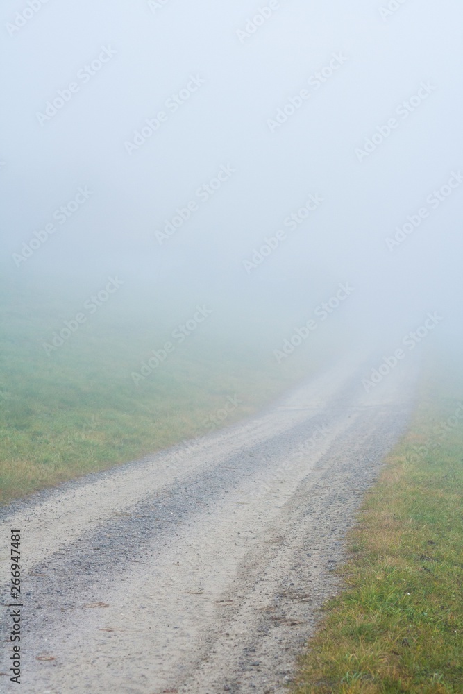 Foggy Trail. Autumn. Switzerland. road in mysterious fog. 