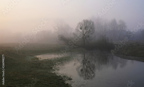 Misty morning on the river. Dawn