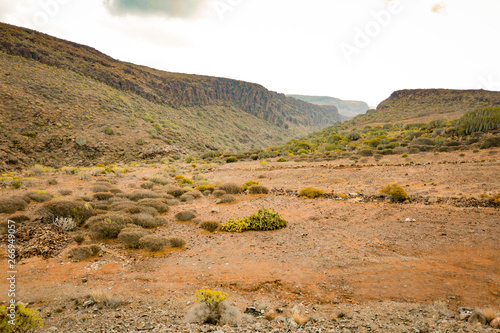 Summer landscape of mountains in Gran Canaria island 