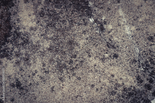 Beautiful closeup textures abstract old wall background and cement floor 