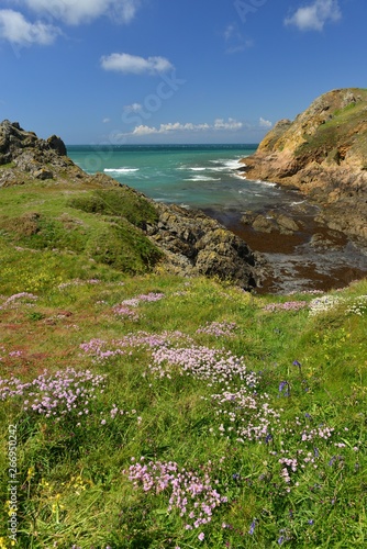 Le Pulec, Jersey, U.K. Coastal Spring landscape.