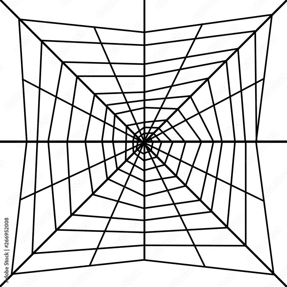 Obraz premium spider web