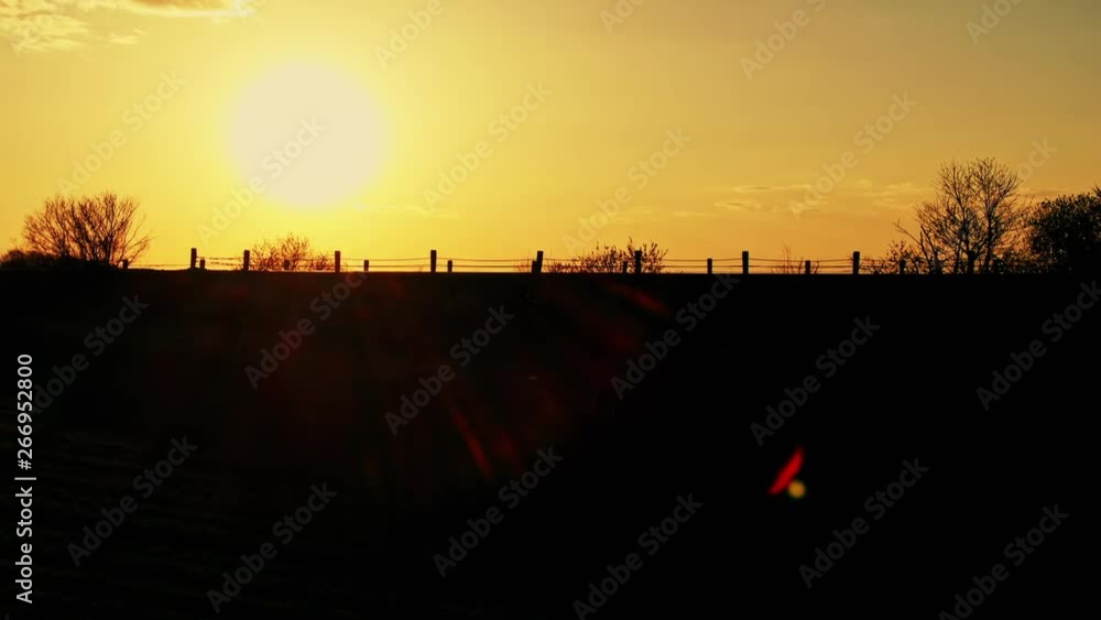 Silhouette of a moving truck in a landscape at sunset