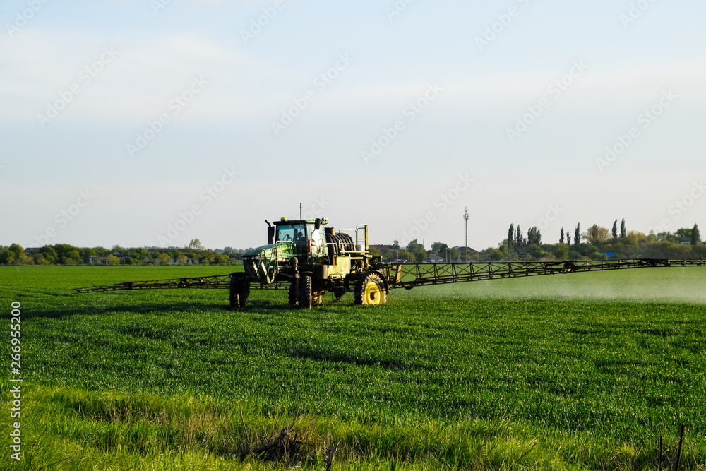 tractor with the help of a sprayer sprays liquid fertilizers on young wheat in the field. tractor with the help of a sprayer sprays liquid fertilizers on young wheat in the field.