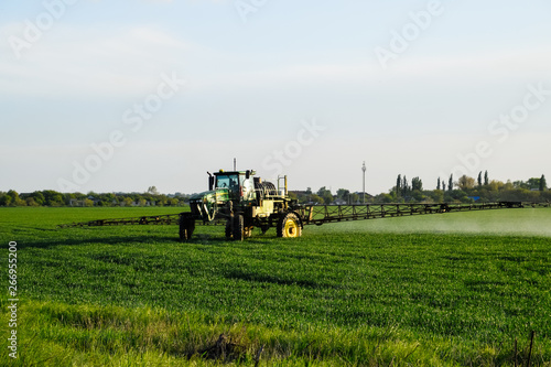 tractor with the help of a sprayer sprays liquid fertilizers on young wheat in the field.