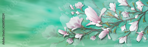 realistic flower, Magnolia branch isolated on green background. Magnolia bran...