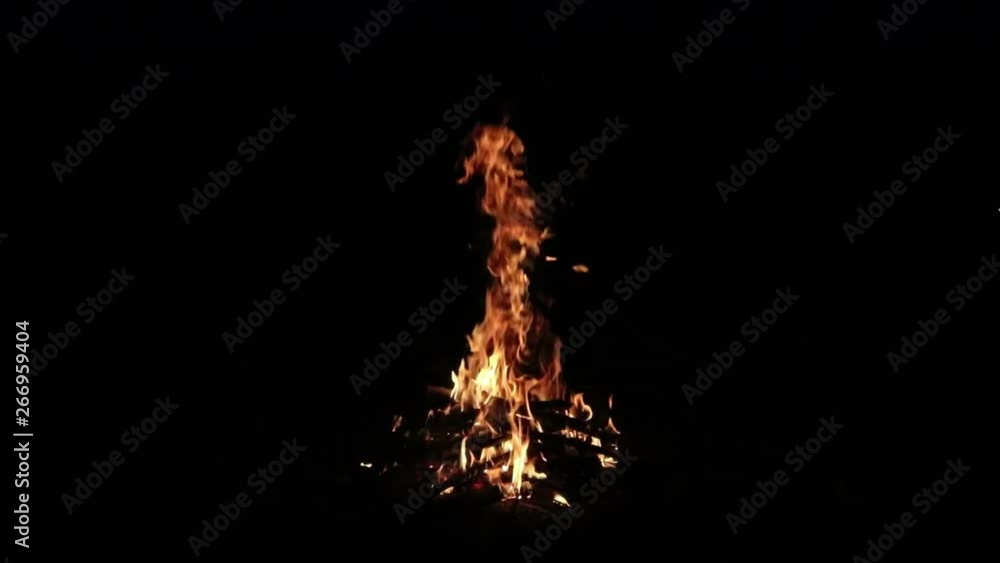 Bonfire burning in the forest at night. Flame fire from birch wood. Bonfire burning in the forest at night. Flame fire from birch wood.