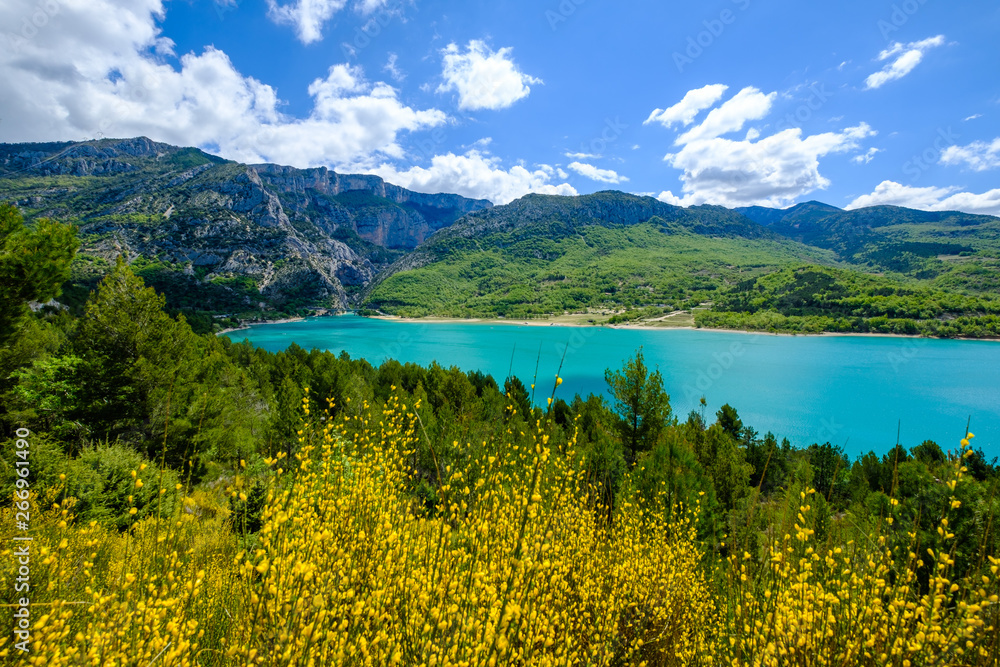 Vue panoramique sur le lac de Sainte-Croix au printemps, ciel bleu avec de beaux nuages, fleur de genêt au premier plan. Provence, France. Gorges du Verdon.