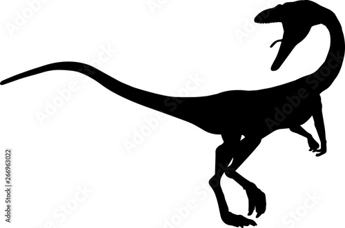 Coelophysis 7 isolated vector silhouette