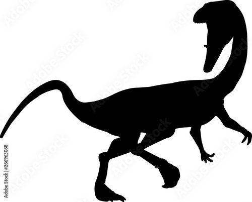 Coelophysis 9 isolated vector silhouette