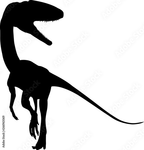 Coelophysis 8 isolated vector silhouette