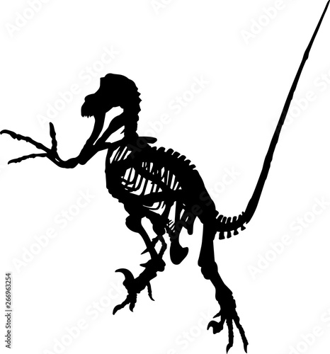 Fossils 3 isolated vector silhouette