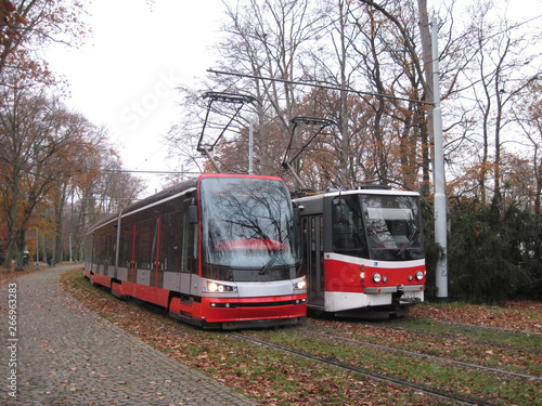 Trams in Stromovka