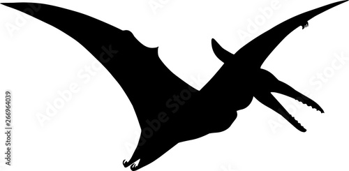 Pteranodon 3 isolated vector silhouette