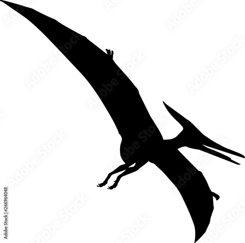 Pteranodon 2 isolated vector silhouette
