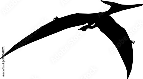 Pteranodon 4 isolated vector silhouette