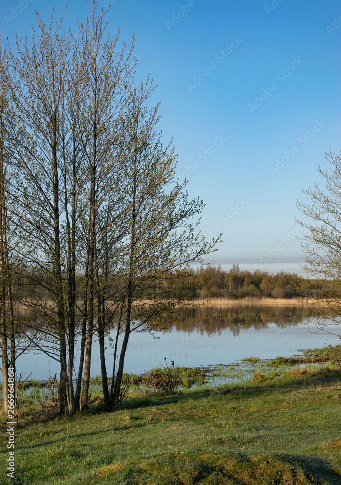 Spring landscape