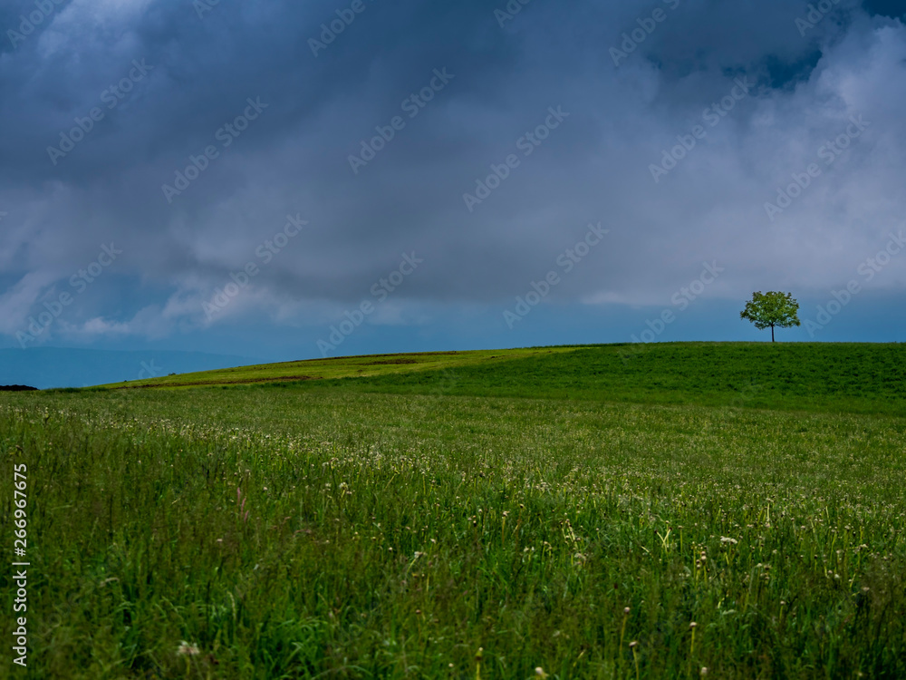 Obraz premium Gewitterwolken