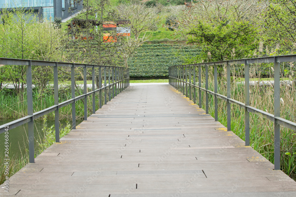 puente de madera y acero en un parque