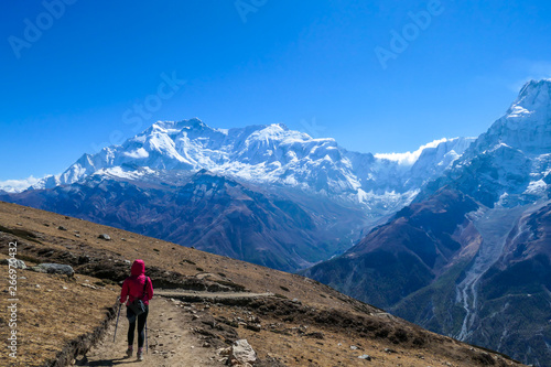 Trekking girl on the way to Ice lake, Annapurna Circuit Trek, Nepal. Girl supports herself on the trekking sticks. Dry trails with small rocks on it. In front high and snowy Himalayan mountain.