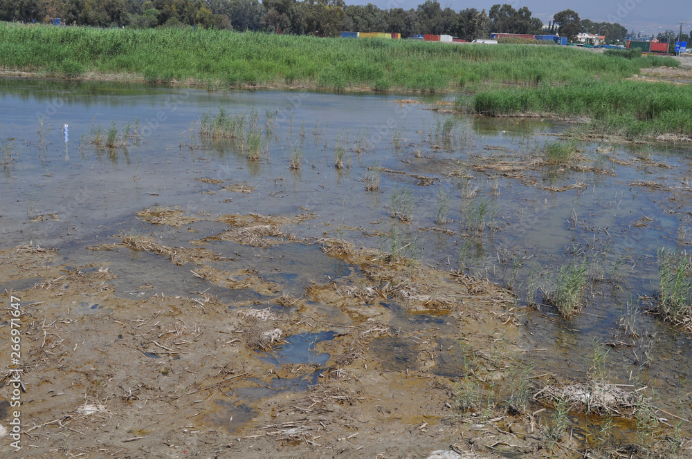 The beautiful natural Wetland Limassol Salt Lake landscape in Cyprus