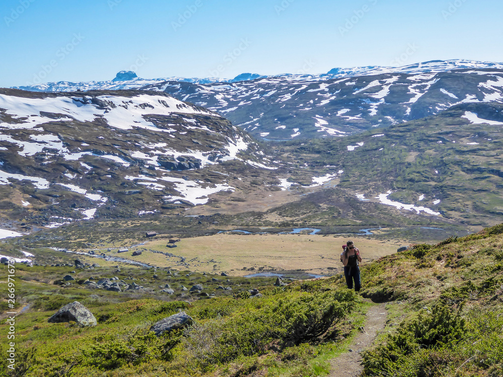 A girl with a big backpack hikes through the highlands of Norway. The trail is barely marked. Fresh green grass. Taller mountains in the back covered partially with snow. Wilderness and freedom