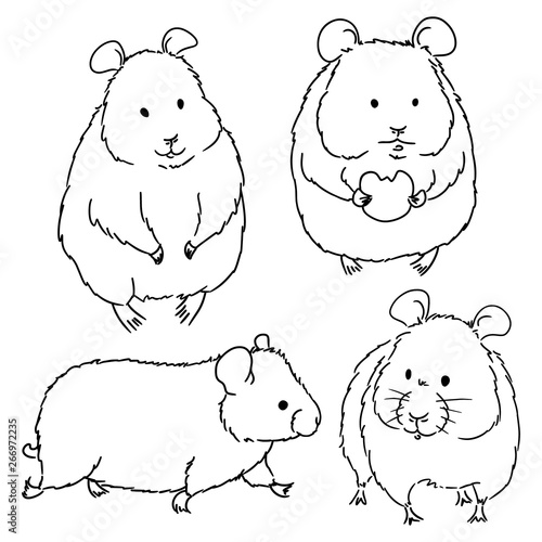 Different hamster sketches by free hand on white background. Vector hand drawn illustrations of line art of rodents.