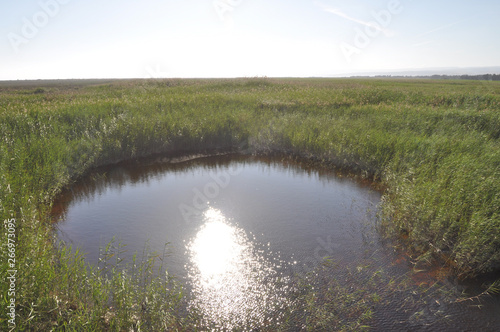 The beautiful natural Wetland Limassol Salt Lake landscape in Cyprus