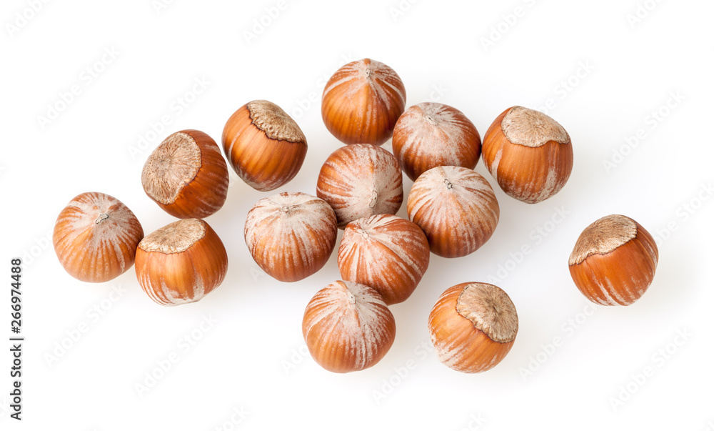 Hazelnuts isolated on white background Hazelnuts isolated on white background
