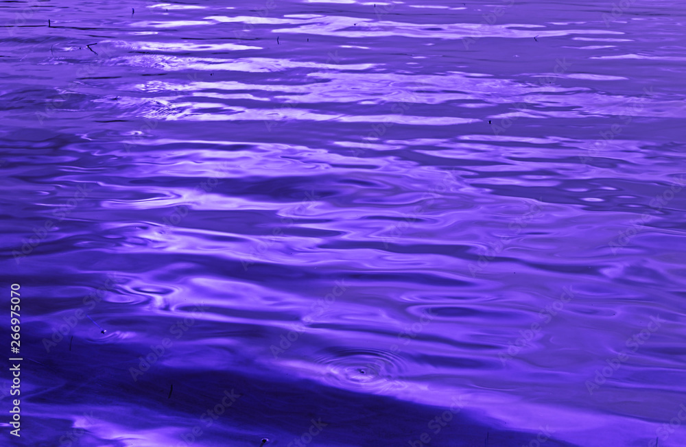 Purple waves Purple waves