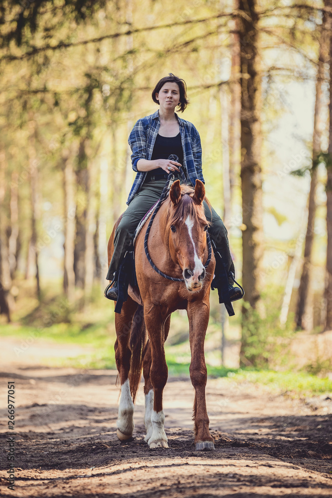 young woman and trakehner horse in the morning in spring forest young woman and trakehner horse in the morning in spring forest