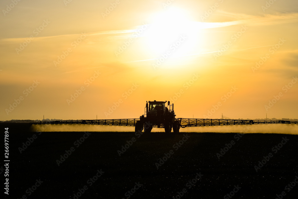 Fototapeta premium tractor with the help of a sprayer sprays liquid fertilizers on young wheat in the field.