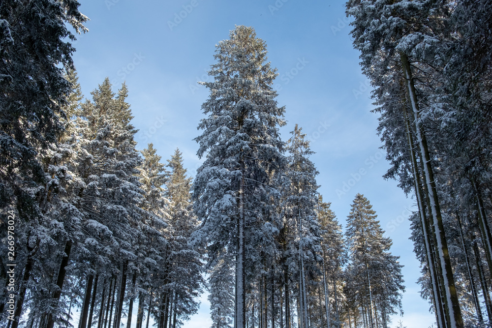 Fototapeta premium Winterlandschaft am Kahlen Asten