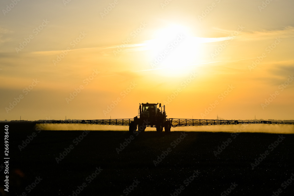 tractor with the help of a sprayer sprays liquid fertilizers on young wheat in the field. tractor with the help of a sprayer sprays liquid fertilizers on young wheat in the field.