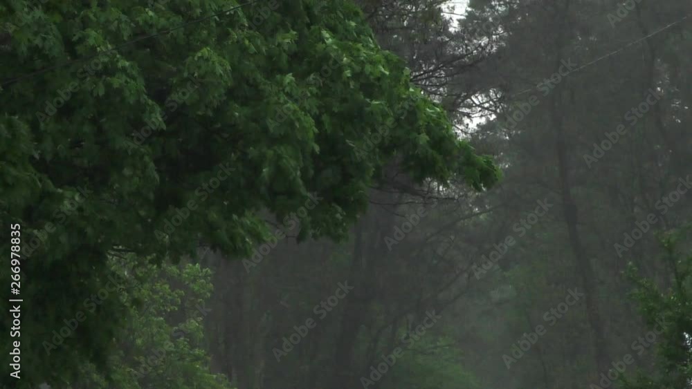 Heavy spring rain floods the streets with cars on the road and people passing by.