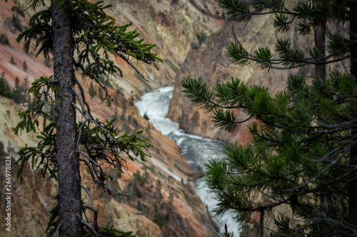 Canyon River