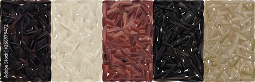 Rice set, black, red, basmati, brown, wild. Vector illustration isolated on white background.
