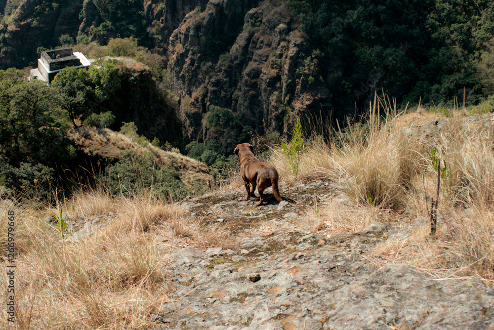 Fototapeta premium Aventurero