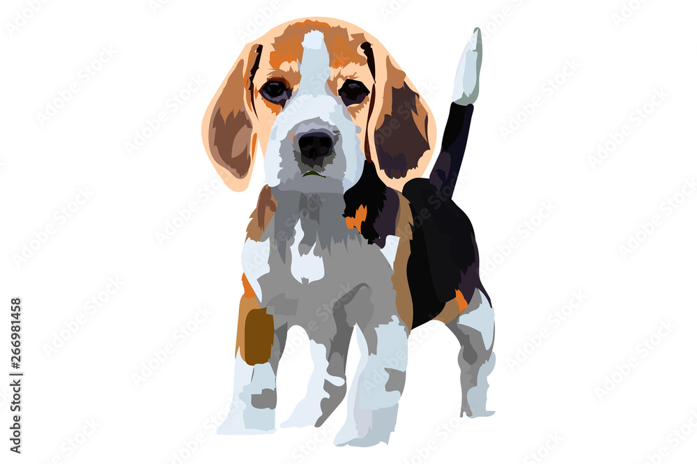 Cute Dog of different colors. the tail is up. Vector illustration. polygon Cute Dog of different colors. the tail is up. Vector illustration. polygon