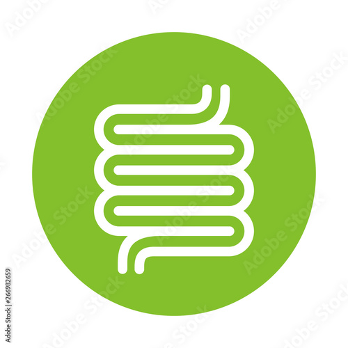 Good healthy digestion green icon