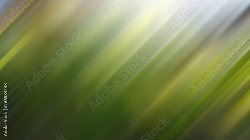 Green vegetative natural dynamic blurred lines background.