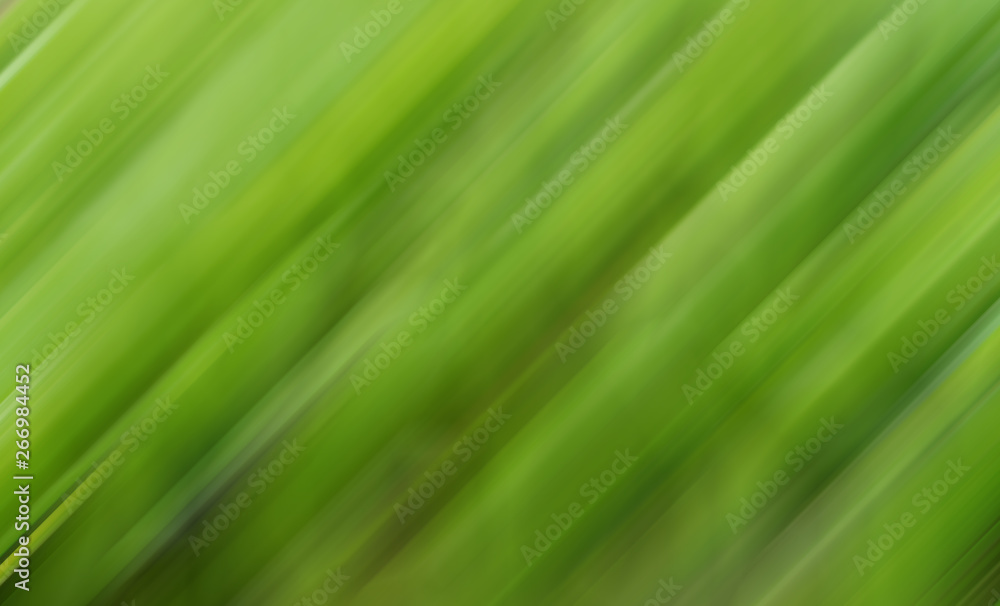 Green vegetative natural dynamic blurred lines background. Green vegetative natural dynamic blurred lines background.