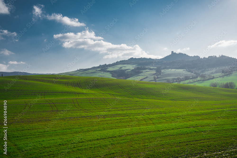 Panoramic view of beautiful endless green fields in bright sunlight, Italy Panoramic view of beautiful endless green fields in bright sunlight, Italy
