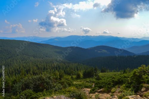 Panoramic view on way to Hoverla, Carpathian mountains, Ukraine. Horizontal outdoors shot © Vitali