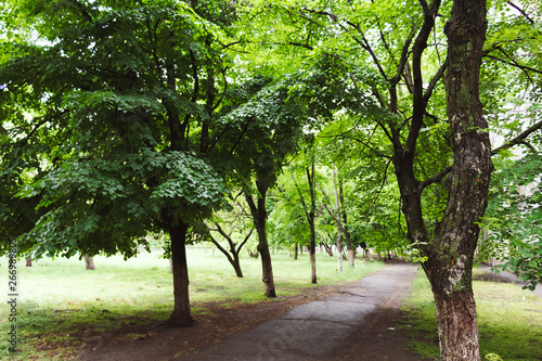 alley in the park