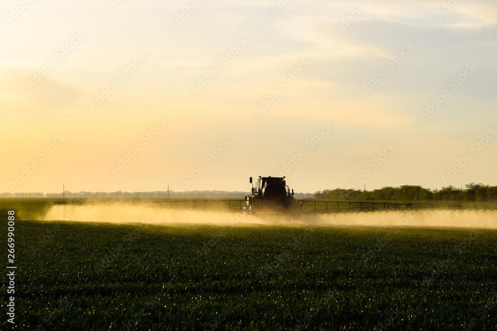 Fototapeta premium tractor with the help of a sprayer sprays liquid fertilizers on young wheat in the field.