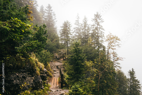 Fototapeta Naklejka Na Ścianę i Meble -  Górska Droga we Mgle