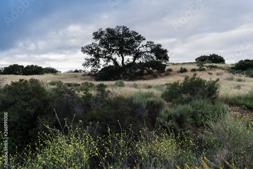 Overcast morning at Santa S...