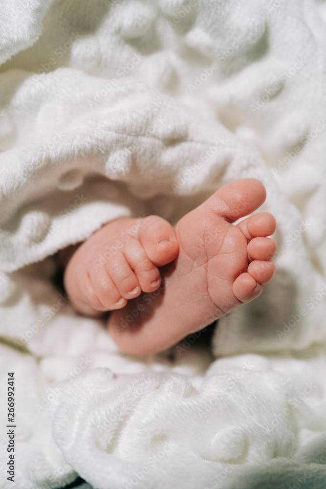 New Born Baby Small Feet on White Blanket. Family, new life, childhood, beginning concept. New Born Baby Small Feet on White Blanket. Family, new life, childhood, beginning concept.