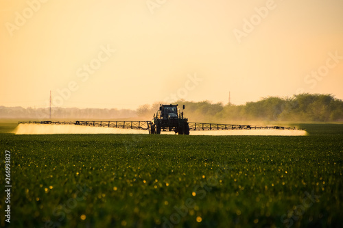 tractor with the help of a sprayer sprays liquid fertilizers on young wheat in the field.
